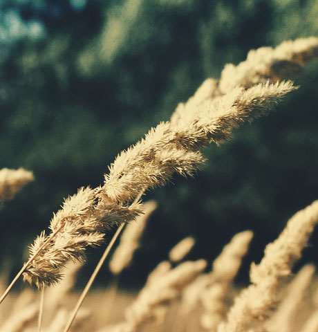 云端备份安全的在线网页发短信